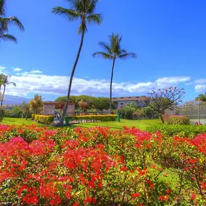 Maui Vista 2220 Kihei